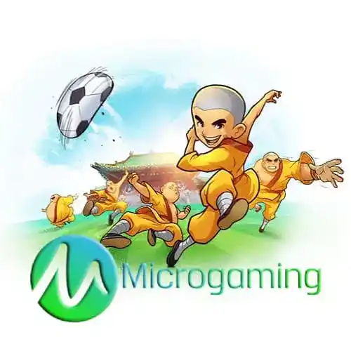 สล็อต MICROGAMING