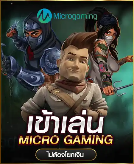 Micro Gaming 