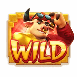 สัญลักษณ์wild